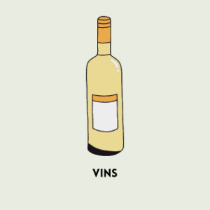 VINS